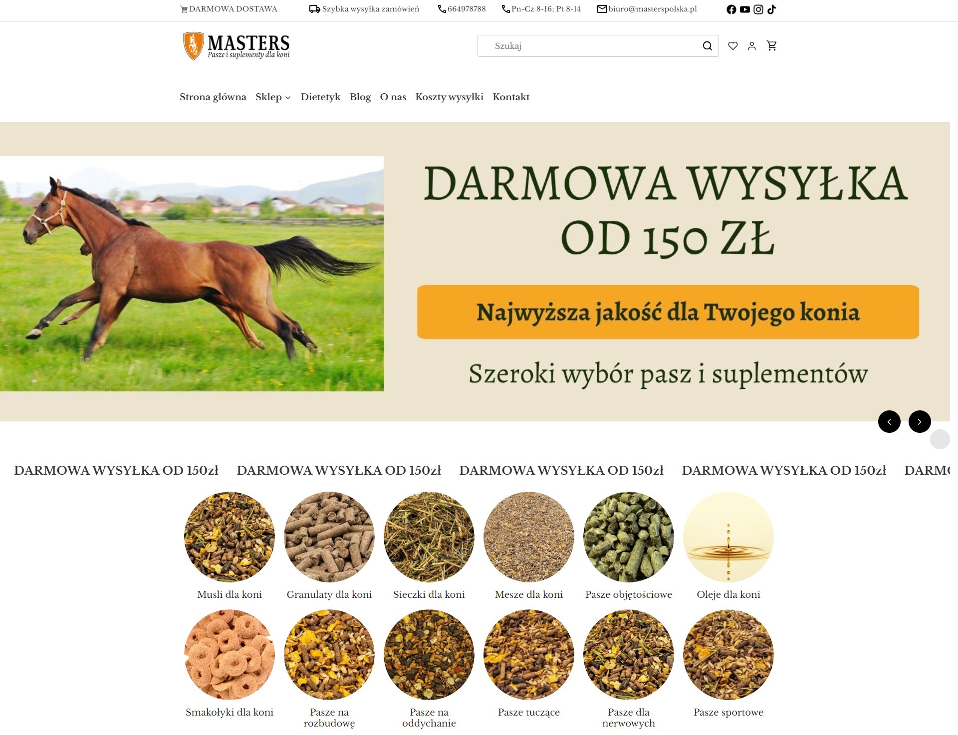 Jakich błędów unikać, wybierając paszę dla koni na co dzień?